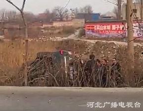 沙河村最新爆料,揭秘乡村发展背后的故事